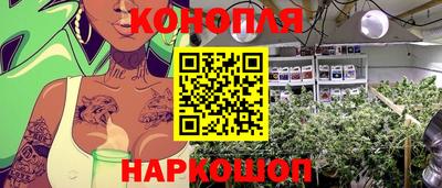 крисы Пыть-Ях